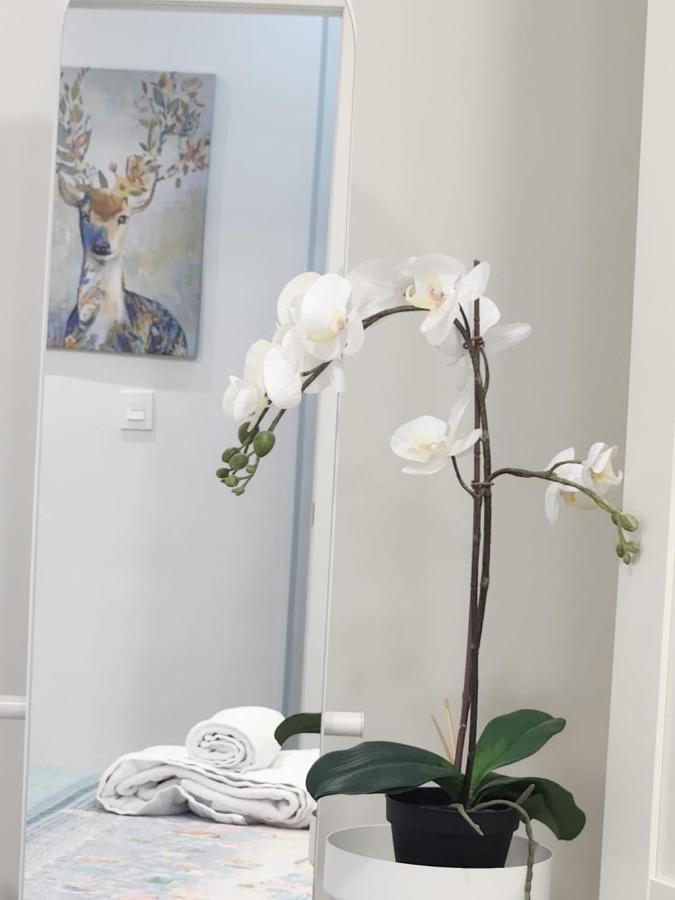 Apartamento Paula باياذوليد المظهر الخارجي الصورة